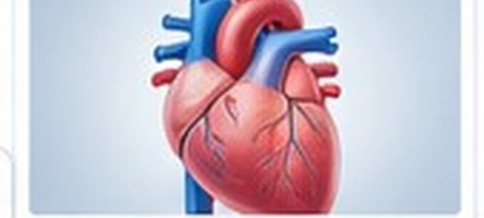 CABG / heart bypass surgery | Hospitals of India
