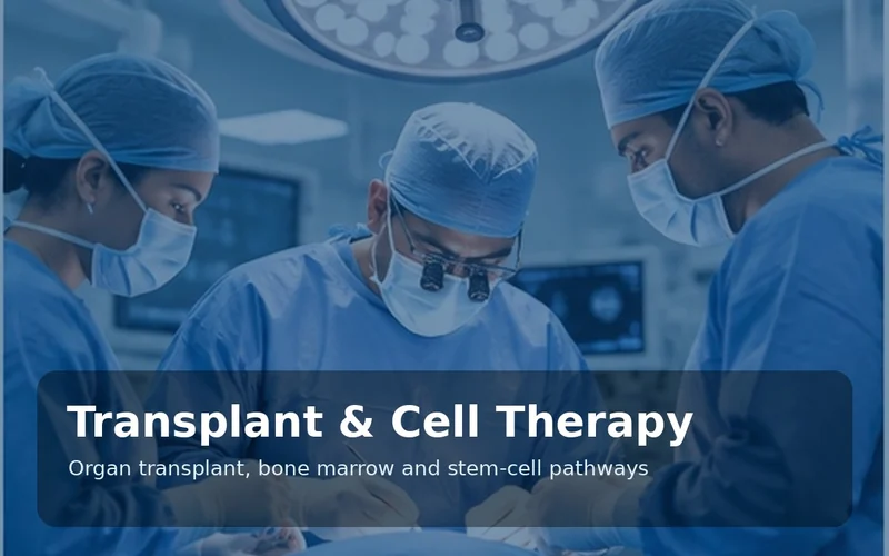 Liver Treatment Advanced liver care and transplant pathways
