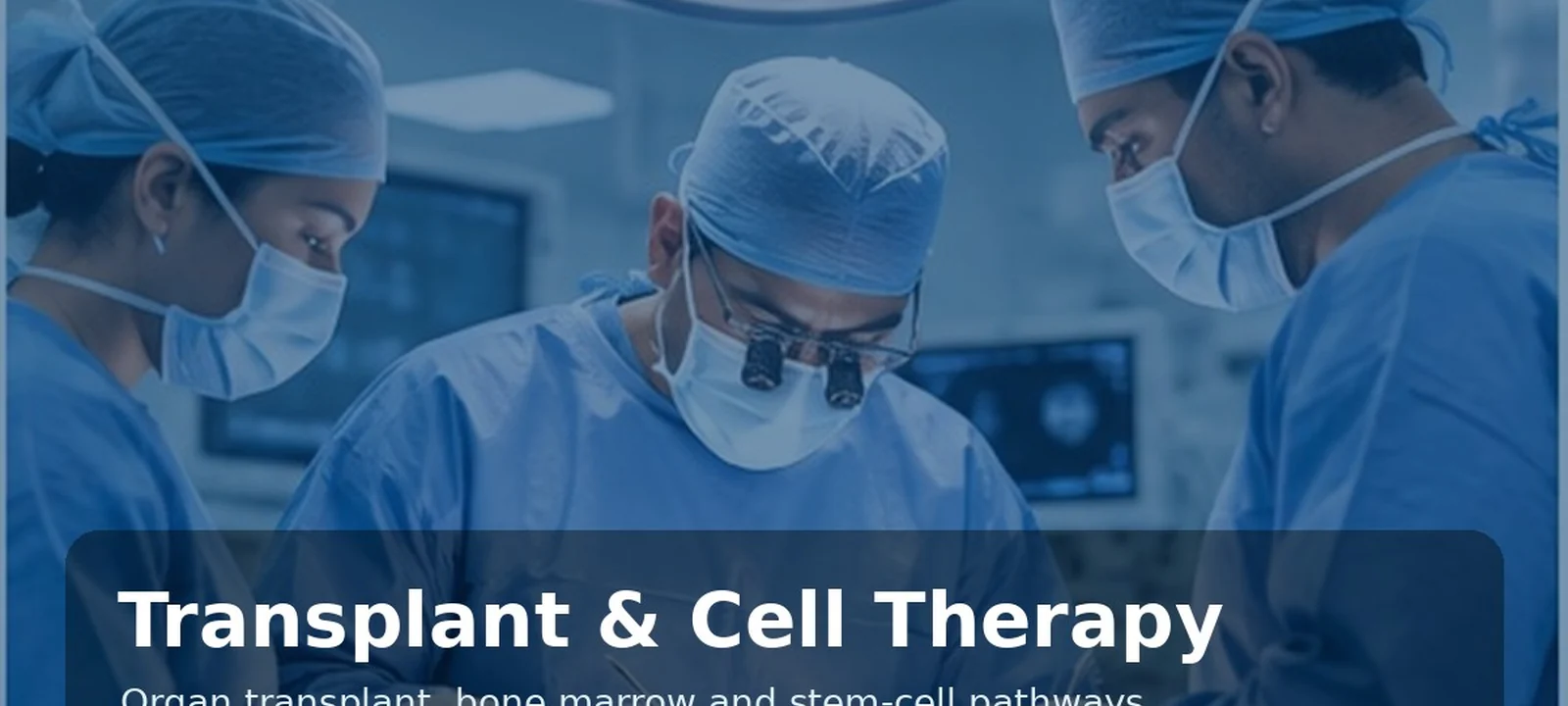 Liver transplant | Hospitals of India